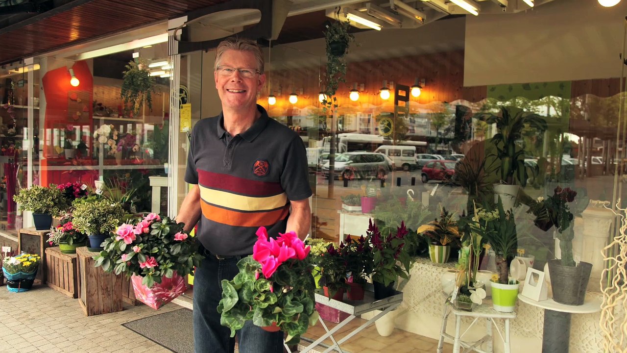 PROJET GLOBAL BELLEVUE