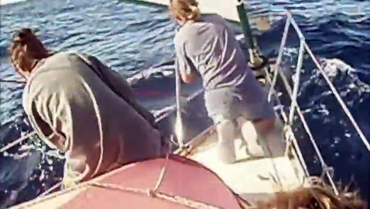 Transatlantique vue par mes équipiers 2011/12