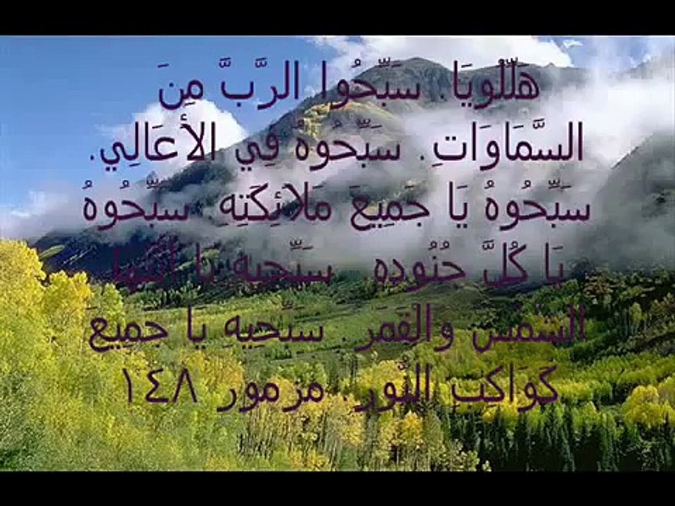 ترنيمه حبيبي امين - فاديا بزي