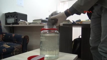 Zehirli Okyanus Balığı Mersin Körfezi'nde