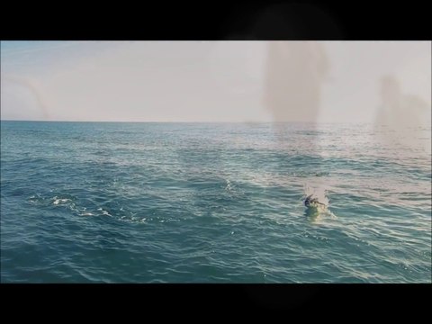 Pierre K, My first Bluefin Tunas with Roussillon Fishing