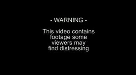 How Tribes of New Guinea  Curing Dead Bodies