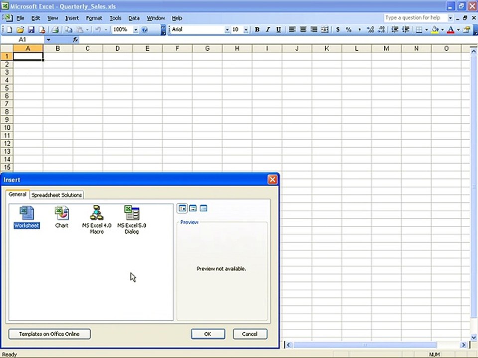Ms Excel 2003 Training- Adding and deletin (Part 9)