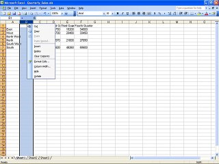 Ms Excel 2003 Training- insert and delete (Part 10)