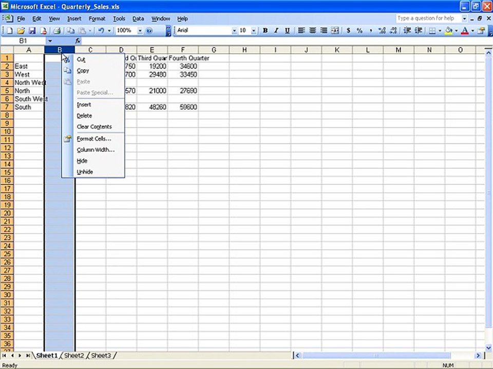 Ms Excel 2003 Training- insert and delete (Part 10)