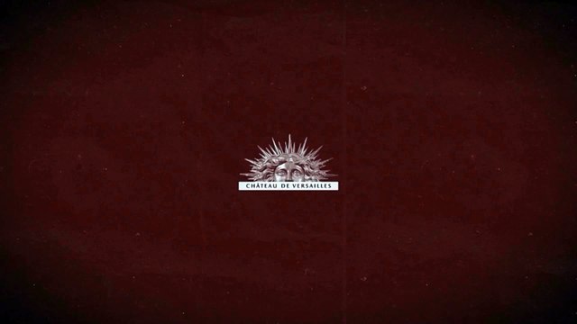 Google Cultural Institute, Château de Versailles - monument, Pagaille à Versailles - juin 2012