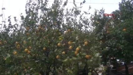 Antalya'da Fırtına ve Yağmur Yaşamı Felç Etti