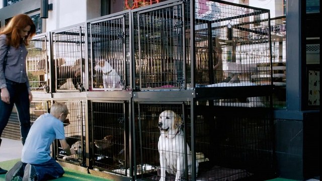 Harley Davidson Motor Company - moto, Liberation - septembre 2011