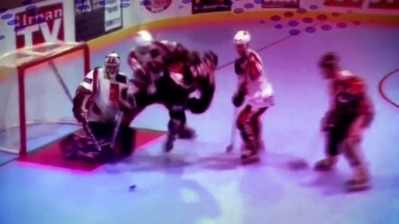 Fédération Française Roller Sports - institution sportive, "Identité Graphique FF Roller Sports" - mai 2011