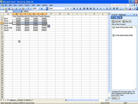 Ms Excel 2003 Training- Worksheet data (Part 11)