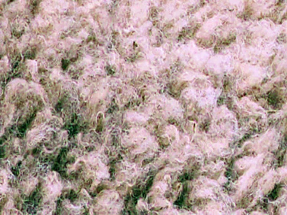 FNSEA - métiers de l'agriculture - février 2009 - "L'agriculture, des métiers à la mode", mouton