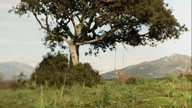 Issey Miyake ( BPI Beauté Prestige International) - parfum L'Eau d'Issey Florale - février 2011 - balançoire