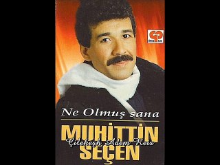 Muhittin Seçen - Ne Olmuş Sana