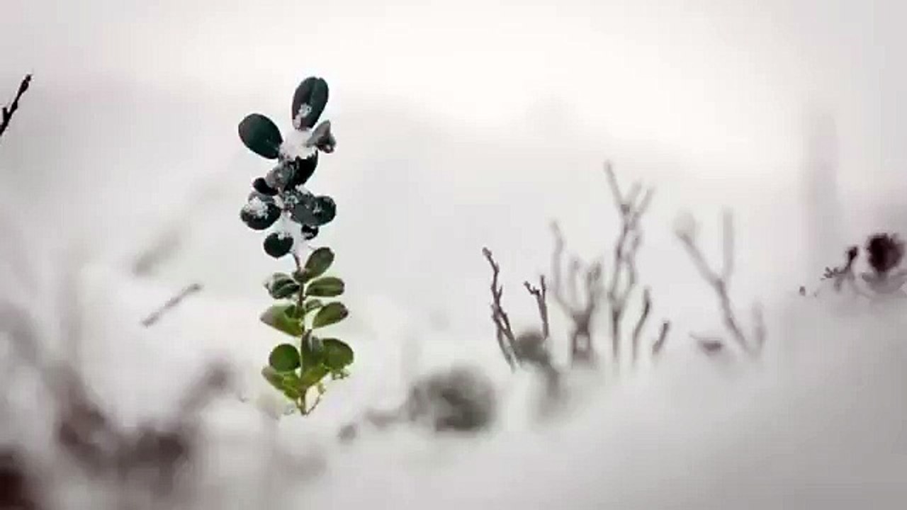 Eric Bompard - pulls en cachemire, "L'étreinte (le hug)" - septembre 2012