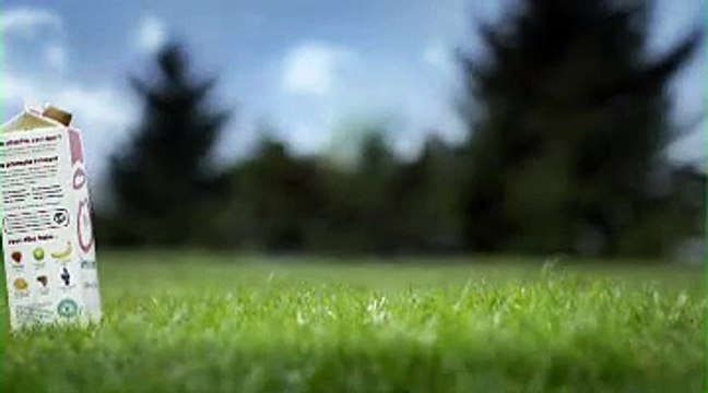 Innocent - smoothies - mai 2009 - Les fruits tout nus