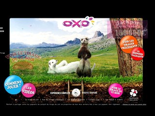 La Française des Jeux - jeu OXO - mars 2009 - démonstration du site web
