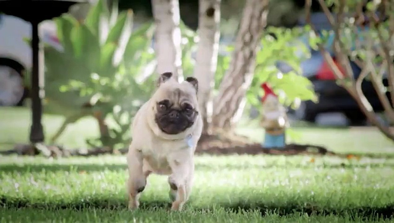 Doritos (PepsiCo) - apéritifs - février 2011 - "Pug attack"