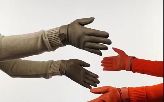 Hermès - gants en cuir, «Shake it baby» - novembre 2014