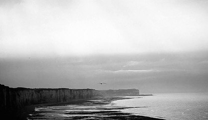 David Bachet - bijoux, "J'aime le côté obscur de la femme" - novembre 2011