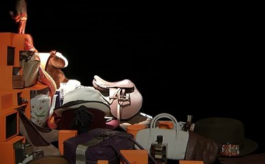 Hermès - vêtements et accessoires, "Hermes Fingerskate" - novembre 2010