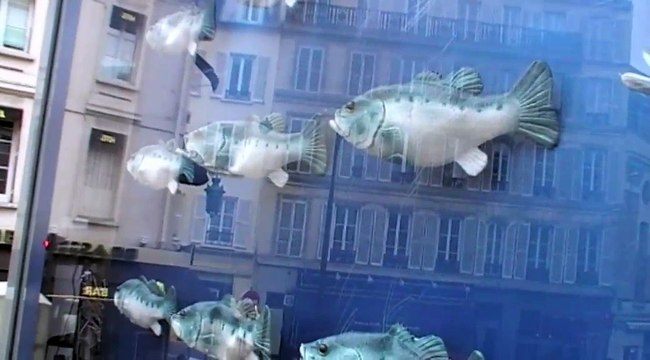 Findus - poissons surgelés - mai 2010 - Singing Fish