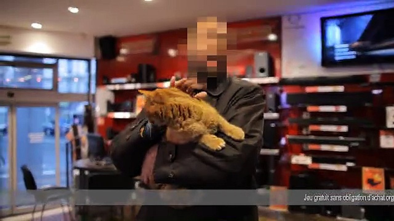 Friskies - nourriture pour chiens et chats - janvier 2011 - "Maxi Croquette", Ponpon le chat roux