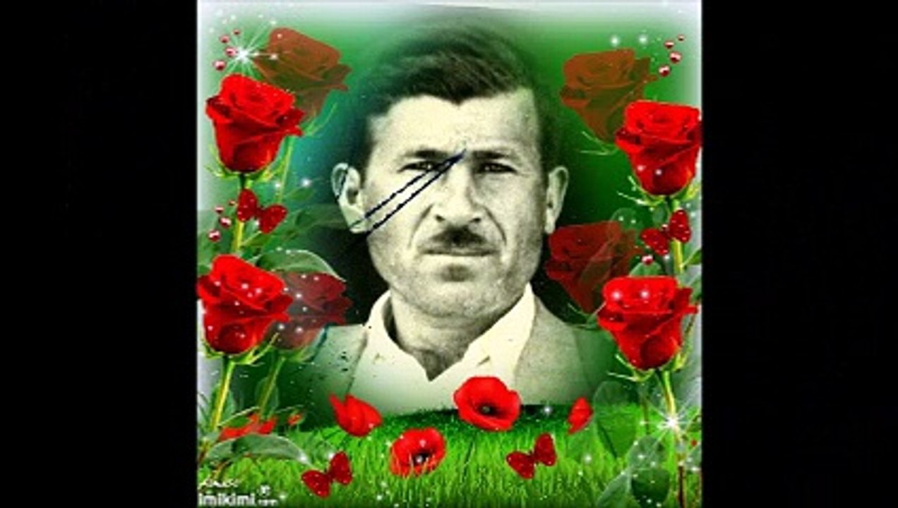 hasan  emmi