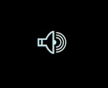 INC (Institut National de la Consommation), ARPP - protection du consommateur, Soldes mode d'emploi - janvier 2013