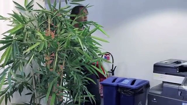 Eurostar - compagnie ferroviaire, Air Sports by Eurostar - mai 2012 - JR courants 1min