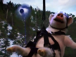 Geico - assurance automobile, "Zip line" - janvier 2012