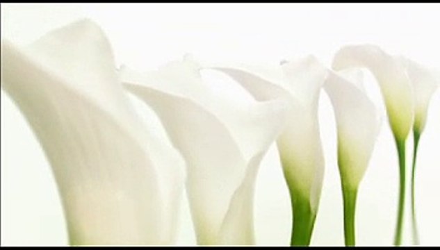 La Banque postale - banque - mai 2009 - Bien plus qu'une banque