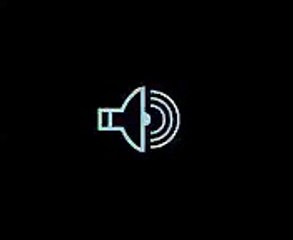 DSCR - Sécurité routière - décembre 2008 - "Sam", La promenade