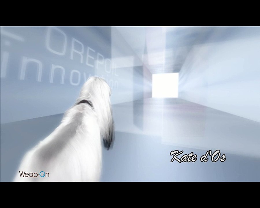 Dechra France - Nourriture pour chiens Spécific - février 2009