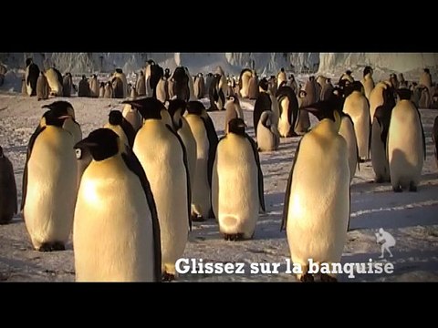 France Soir - journal - avril 2010 - Le meilleur CDD du monde , Le reportour , reportour.com