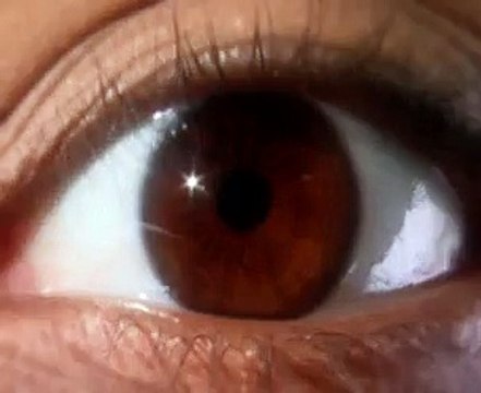 Eurostar - voyages Day Trip à Londres - juin 2009 - Londres vous fait de l'oeil , East London