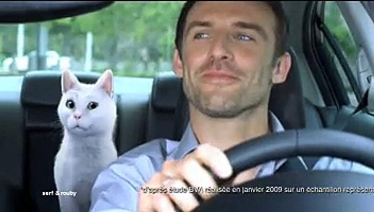 Feu Vert - entretien automobile - avril 2009 - "Feu Vert, la patte de l'expert", Mosaïque