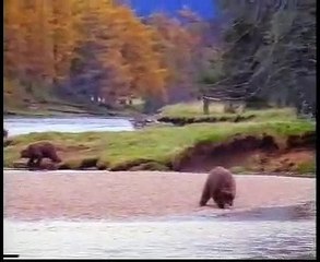 John West - saumon en conserve - juin 2001 - "Man VS Bear", homme VS ours