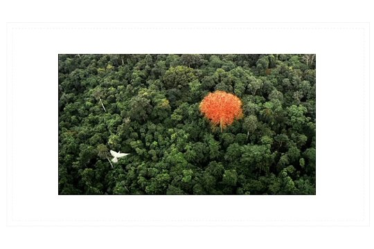 Hermès Parfums - parfum Voyage d'Hermès - avril 2010 - Voyagedhermes.com