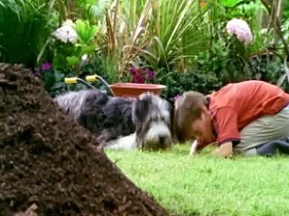 Groupama - épargne Modulation - janvier 2009 - Le jardin