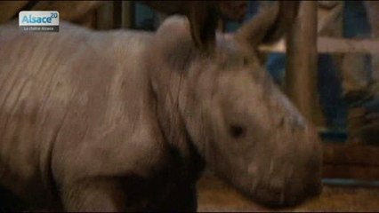 En passant par la Lorraine épisode 14