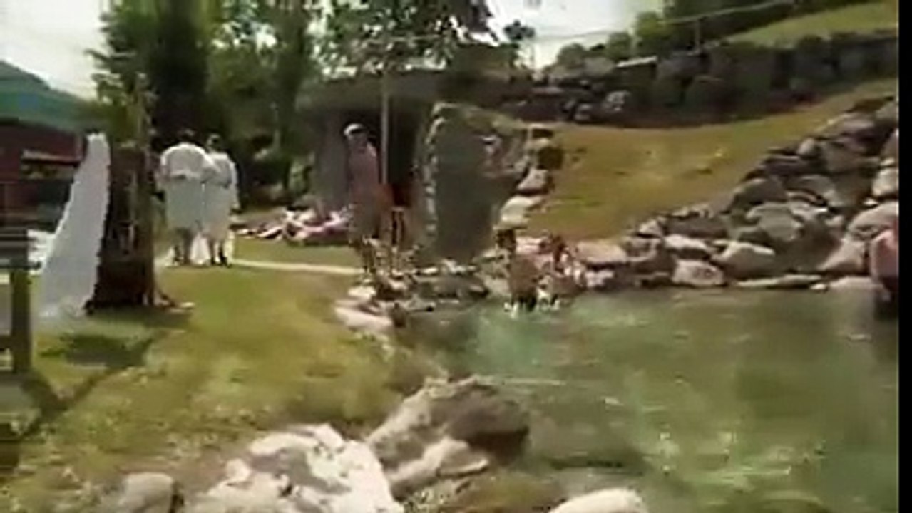 Funny Videos