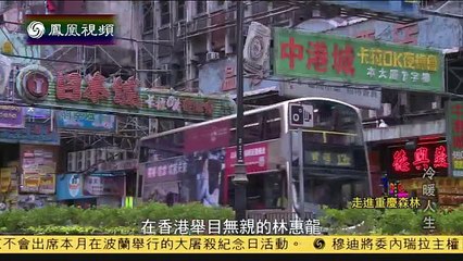 20150113 冷暖人生  走进重庆森林