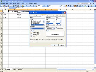 Download Video: Ms Excel 2003 Training- Fonts and Merging (Part 27)