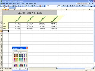 Ms Excel 2003 Training- renaming and color (Part 31)