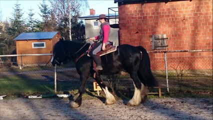 Western Rudnik - Millbrook Fergus