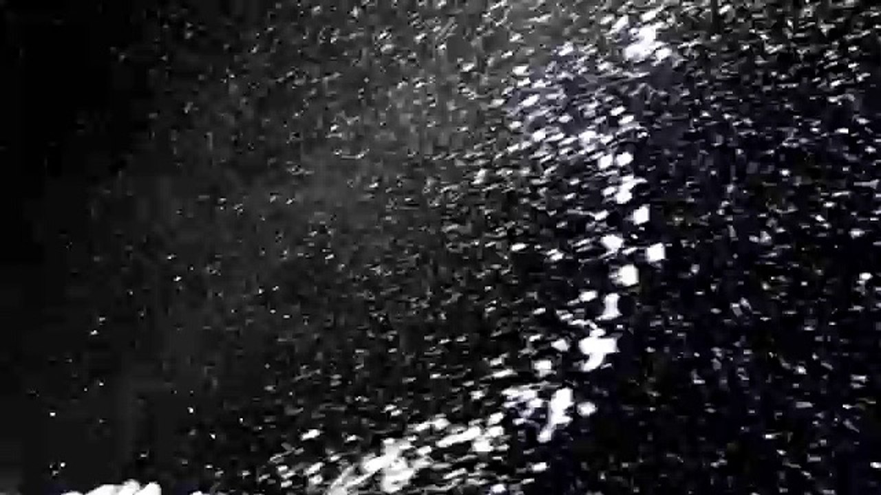 Lidl - supermarchés, "Lidl meets Vivaldi" - décembre 2011