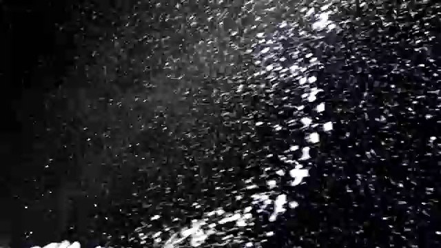 Lidl - supermarchés, Lidl meets Vivaldi - décembre 2011