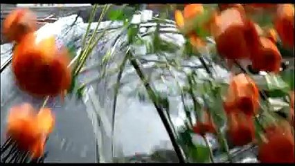 L'Oréal Paris - déodorant Men expert - avril 2010 - "Keep cool, avec Eric Cantona"