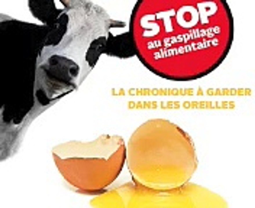 Ministère de l'agriculture - institution gouvernementale, "Stop au gaspillage alimentaire !" - juin 2013 - chronique