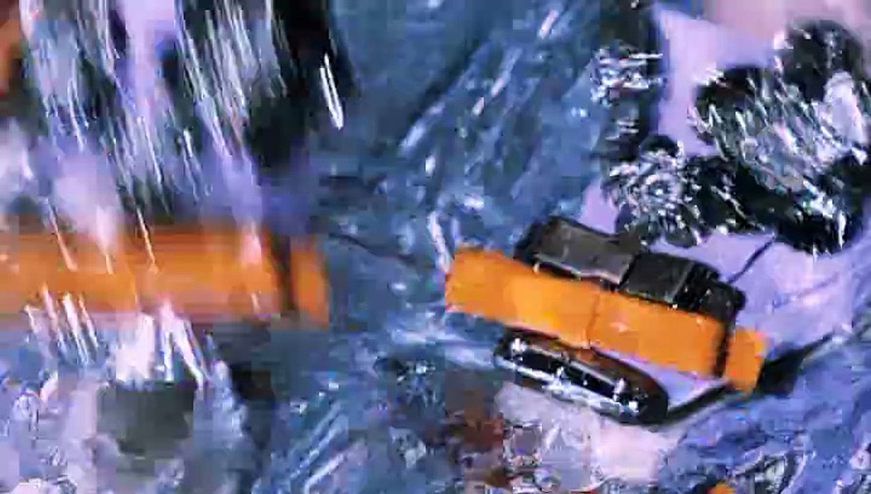 Miu Miu - vêtements et accessoires - août 2010 - "Collection automne-hiver 2010"